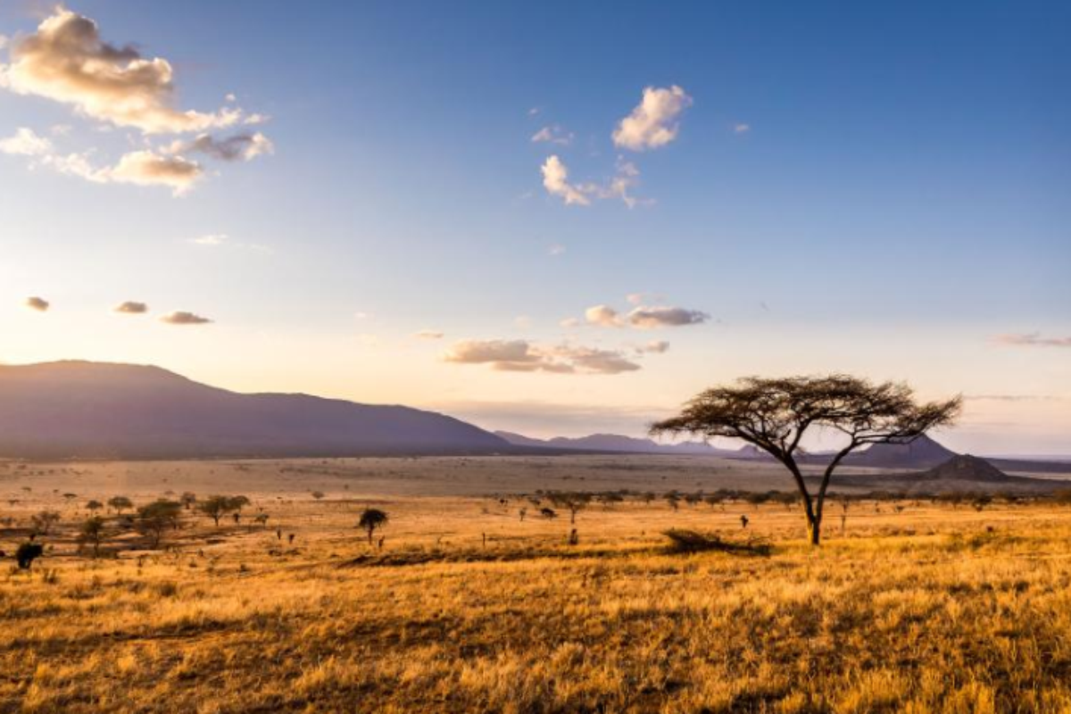 Africa at the Climate Crossroads: Risks, Innovation, and Hope